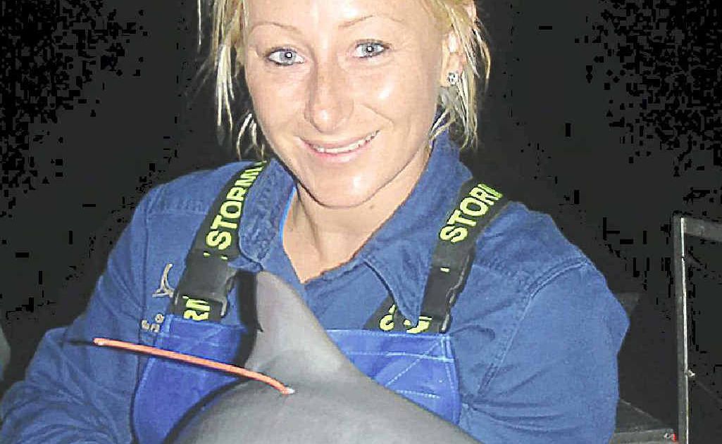 Dr Amy Smoothey at work on the Clarence estuary as part of an extensive study into shark habits and habitats. Dr Amy Smoothey at work on the Clarence estuary as part of an extensive study into shark habits and habitats.